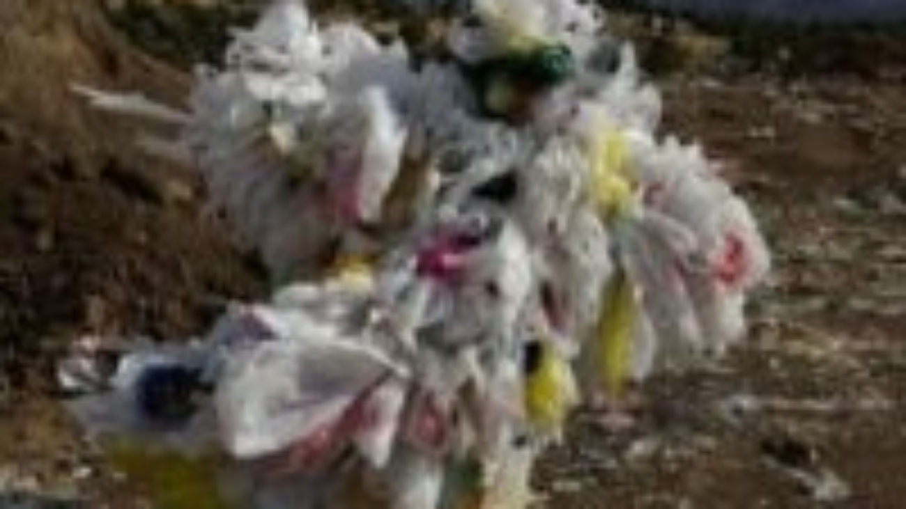 Bag_Monster_at_Landfill